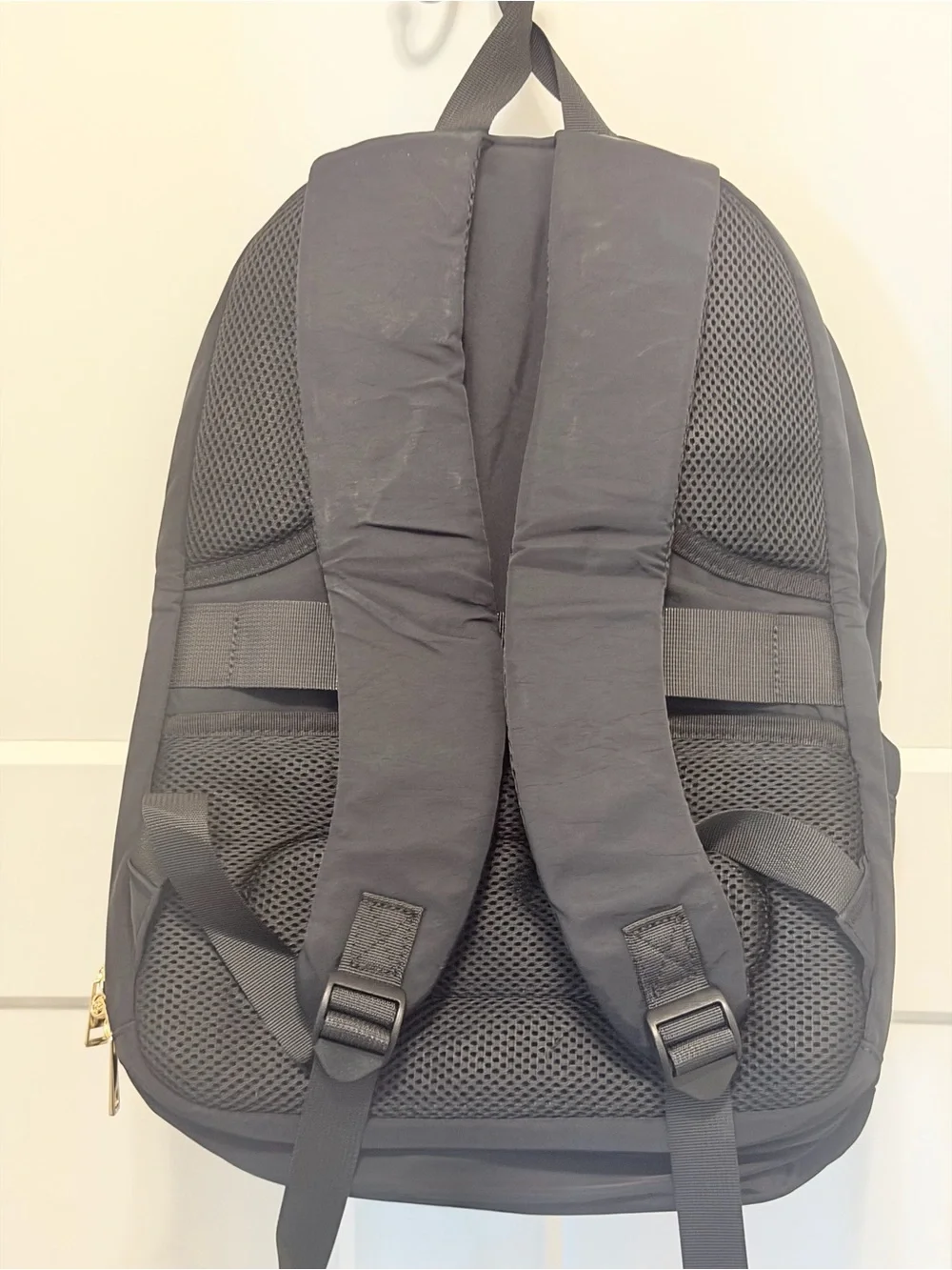 CAMTOP Work and College Backpack for Women with Gold-tone Hardware.